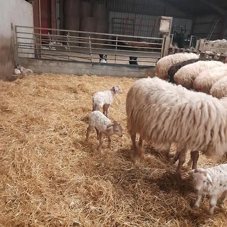 Lägenhet A La Ferme Larranda