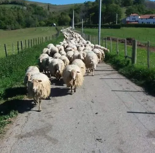 A La Ferme Larranda Daire *