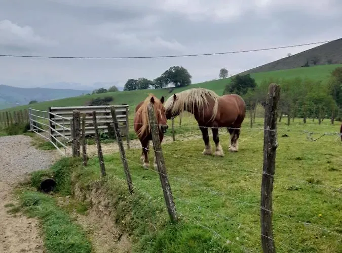 A La Ferme Larranda * Suhescun