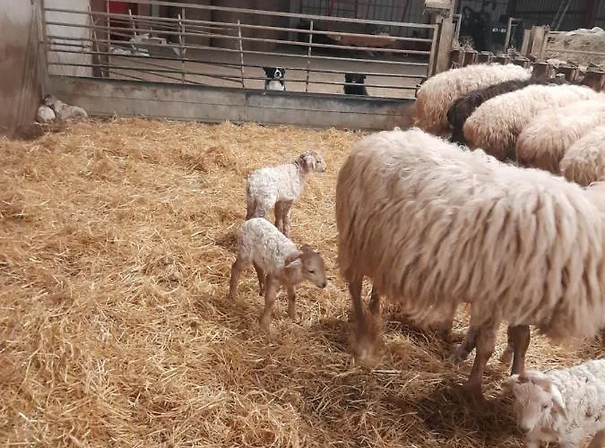 Daire A La Ferme Larranda